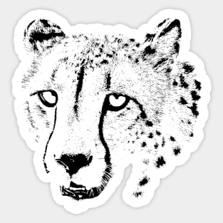 Cheetah Portrait | African Wildlife Sticker